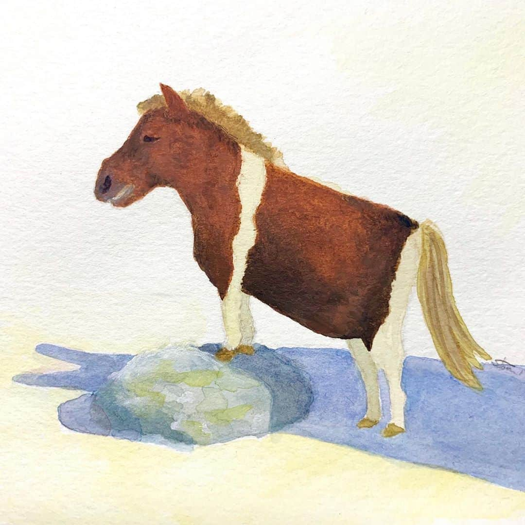 高杉さと美のインスタグラム：「😌🐴💤☀️  #illustration #doodle #watercolor  #イラスト #イラストレーション #ポニー #水彩」