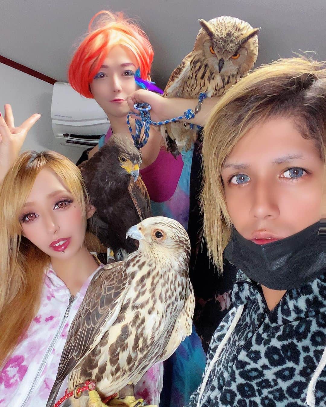あきるなさんのインスタグラム写真 - (あきるなInstagram)「おかまと猛禽類🦉♡ . . . #ベンガルワシミミズク #ワシミミズク #セイカーハヤブサ #ハヤブサ #ハリスホーク #カップル #ギャル #タカ #キャバ嬢 #オカマ #おかま #猛禽類 #多頭飼い #鷹 #ペットのいる生活 #ペット #珍獣 #夫婦 #自撮り #妊婦 #妊娠 #selfie #me #cute #owl #falcon #hawk #eagleowl #raptors #guy」7月2日 22時36分 - runaruna1226