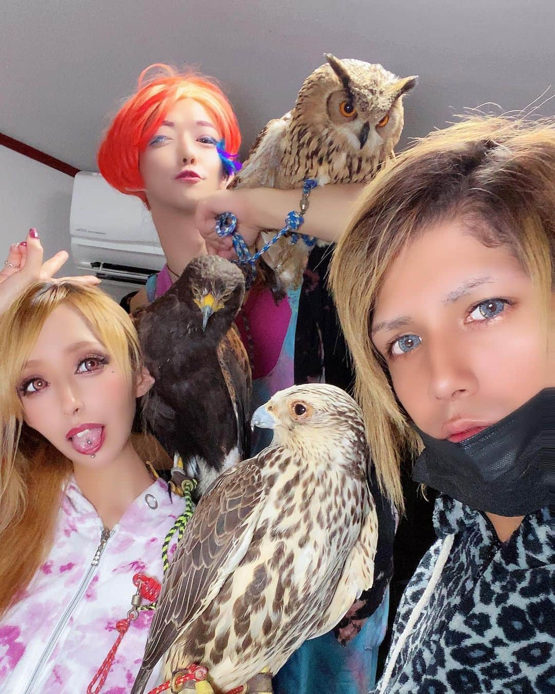 あきるなさんのインスタグラム写真 - (あきるなInstagram)「おかまと猛禽類🦉♡ . . . #ベンガルワシミミズク #ワシミミズク #セイカーハヤブサ #ハヤブサ #ハリスホーク #カップル #ギャル #タカ #キャバ嬢 #オカマ #おかま #猛禽類 #多頭飼い #鷹 #ペットのいる生活 #ペット #珍獣 #夫婦 #自撮り #妊婦 #妊娠 #selfie #me #cute #owl #falcon #hawk #eagleowl #raptors #guy」7月2日 22時36分 - runaruna1226