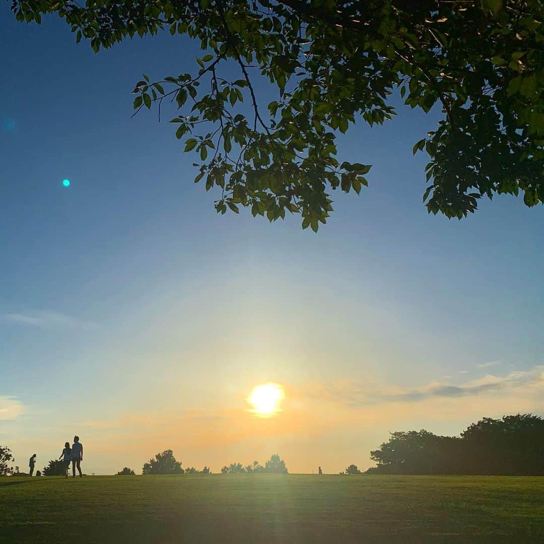 ノーマさんのインスタグラム写真 - (ノーマInstagram)「🧘‍♀️🌳🌈💚雨の日が続くと、晴れの日が尚更に愛しくなる。きゅーーーん。  #tree #botanics #sunny  #meditate」7月2日 22時30分 - noma77777