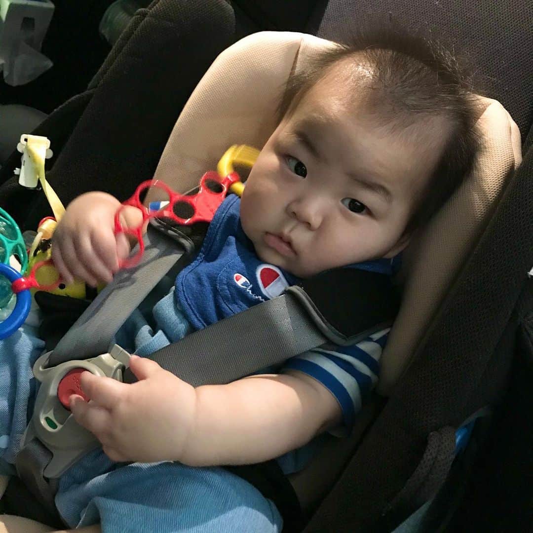 のインスタグラム：「1歳まで使えるバウンサー にもなるトラベルシステムのチャイルシートを買ったのに、大きくなりすぎてすごく窮屈そうになってしまいました。 結局、実家の車に装着する用にと、ジモティで500円で譲ってもらったチャイルドシート をメインに使っています😂 座らせる度に、頂きに行った時その様子を窓から見ていた元の持ち主(4歳くらい？)の男の子が「使ってくーだーさーい！ケーキあーりーがーとーうござーいます！」と、窓から叫んでて可愛かったのを思い出します😂❤️ 500円と激安だったので、なんとなくチーズケーキを買っていったのですが、本当に買っていって良かったと思いました😂 あの子のおさがりを使っていたら、あの子みたいな可愛い子になりそうな気がする✨✨✨  #チャイルドシート #おさがり　#ジモティ  #男の子ベビー #男の子ママ #男の子 #7ヶ月ベビー #babyboy #7monthsbaby #親バカ部ig_baby  #親バカ部 　#0歳　#新米ママ　　#育児記録　#息子　#乳児 #赤ちゃん #赤ちゃん写真  #赤ちゃんのいる生活 #ベビーグラム　#ベビスタグラム #ままのて #ベビータウン  #コドモダカラ  #ベビライフ #ラブベビ　#子育てぐらむ #はいチーズ #ベビメモリ #ムーニーちゃんおめでとう」