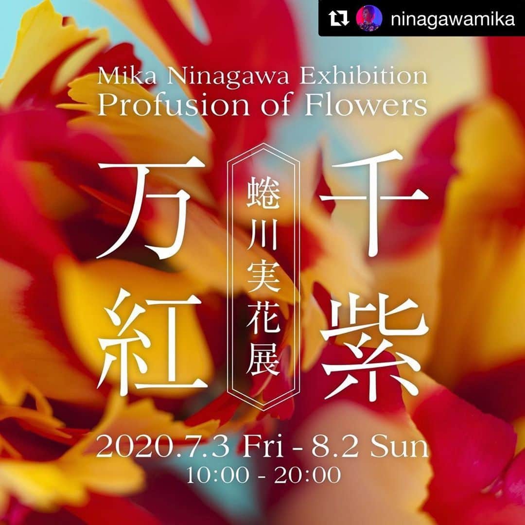 のインスタグラム：「#Repost @ninagawamika with @get_repost ・・・ 新宿に誕生する北村写真機店。そのオープン記念展覧会として、「蜷川実花展 –千紫万紅−」を開催します。  ＜展覧会に寄せて＞ 「なぜ花を撮るのか」とよく聞かれる。  取り憑かれたように、狂ったように撮り続けている、その理由はまだみつからない。  花と自分との境界線がなくなるほど夢中で撮り続けてきた何万枚もの花の写真。  その中のほんの一部だけれど、理由をつけることが出来ない思いみたいなものを感じてもらえたら。  蜷川実花展 －千紫万紅－ 会期 2020年7月3日（金）～8月2日（日） 会場 新宿 北村写真機店 6F Space Lucida 入場料 無料 https://kitamuracamera.jp/  #蜷川実花展千紫万紅 #蜷川実花 #mikaninagawa #北村写真機店」