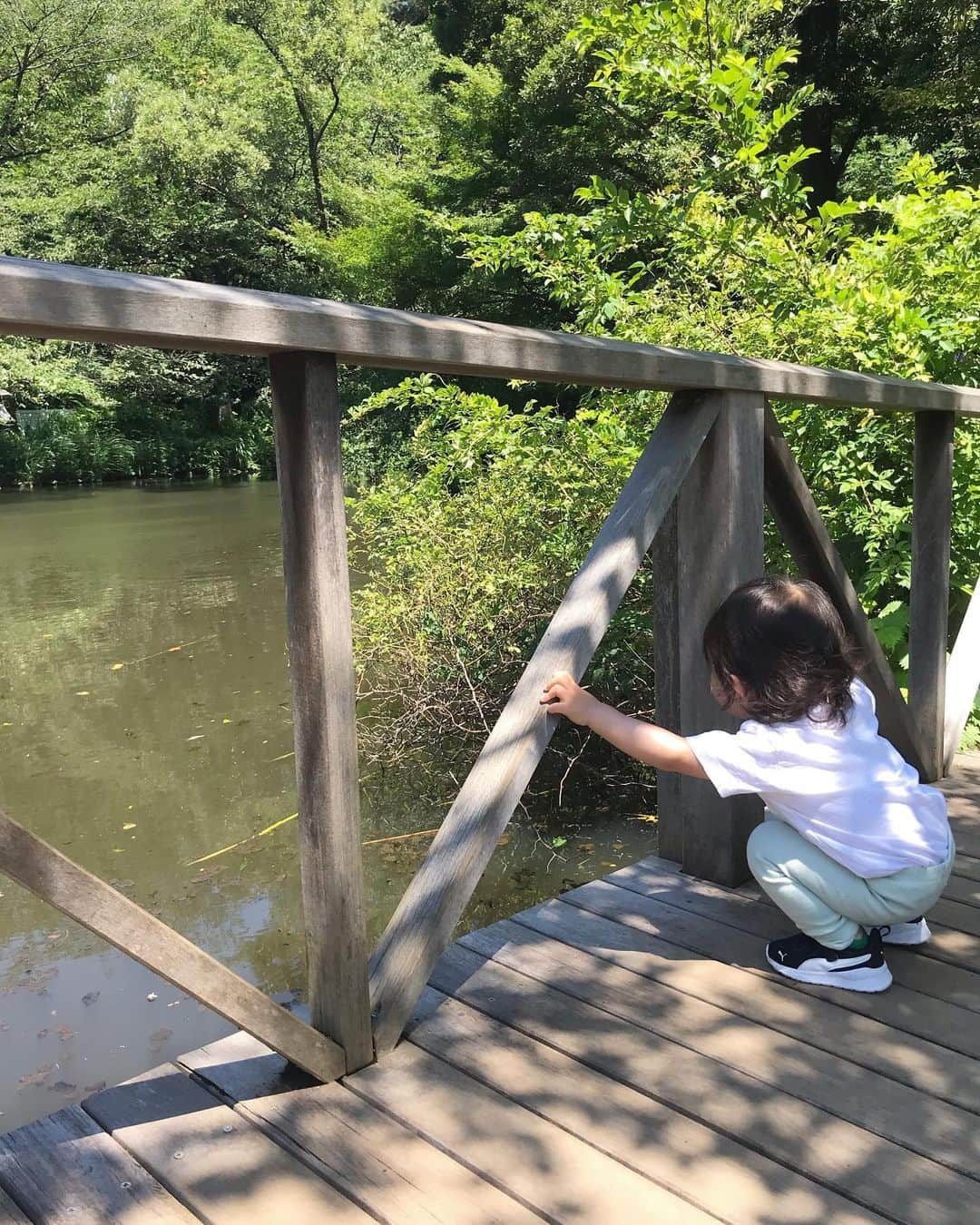 佐倉真衣さんのインスタグラム写真 - (佐倉真衣Instagram)「天使の笑顔かと思いきや、私に意地悪して喜んでいる様子です😈 (最後に動画あります😅) . 暑い日には森が1番ということで🌳 東京のオアシスで自然に癒されてきました。 日陰もいっぱいあって涼しいし、ちょっとした遠足気分🧚‍♀」7月2日 23時16分 - maitanaka20