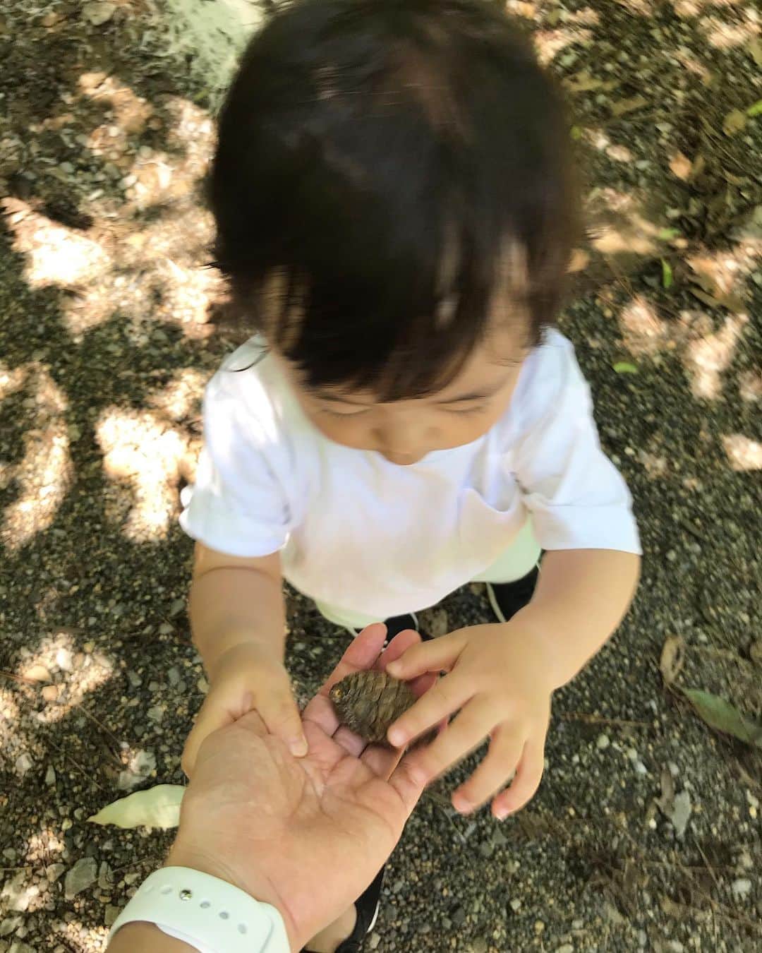 佐倉真衣さんのインスタグラム写真 - (佐倉真衣Instagram)「天使の笑顔かと思いきや、私に意地悪して喜んでいる様子です😈 (最後に動画あります😅) . 暑い日には森が1番ということで🌳 東京のオアシスで自然に癒されてきました。 日陰もいっぱいあって涼しいし、ちょっとした遠足気分🧚‍♀」7月2日 23時16分 - maitanaka20