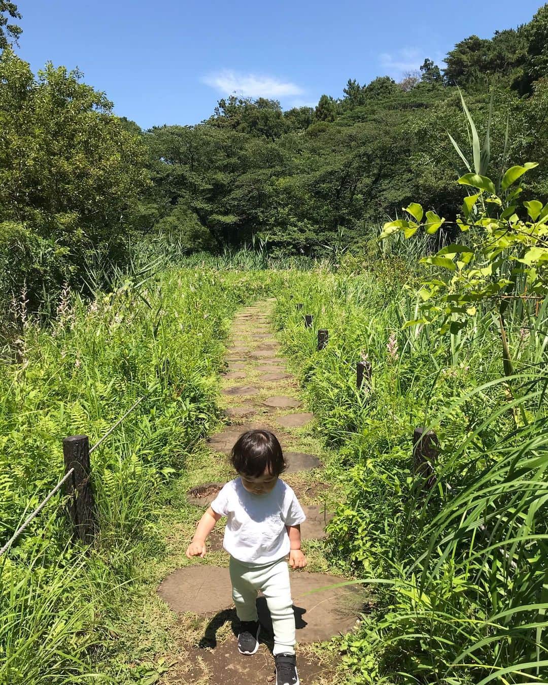 佐倉真衣さんのインスタグラム写真 - (佐倉真衣Instagram)「天使の笑顔かと思いきや、私に意地悪して喜んでいる様子です😈 (最後に動画あります😅) . 暑い日には森が1番ということで🌳 東京のオアシスで自然に癒されてきました。 日陰もいっぱいあって涼しいし、ちょっとした遠足気分🧚‍♀」7月2日 23時16分 - maitanaka20