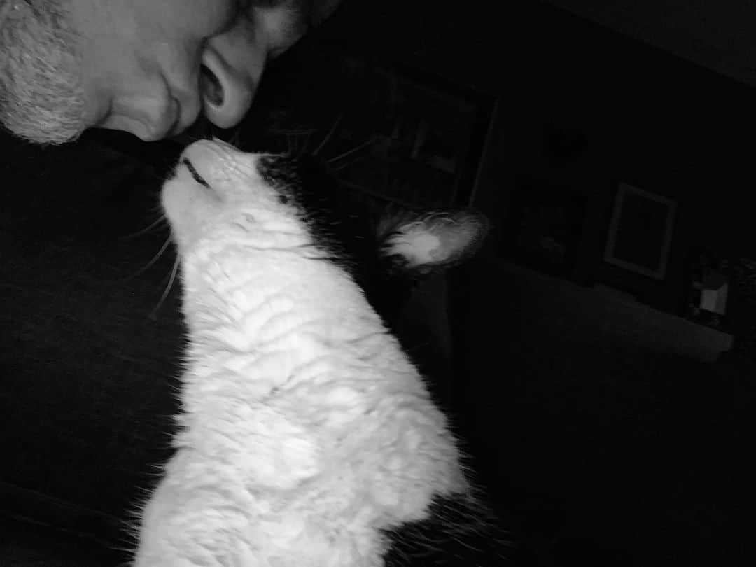 レイチェル・ボランさんのインスタグラム写真 - (レイチェル・ボランInstagram)「The other woman in my life (who also hogs the bed). #lovey #cat #cats #catsofinstagram #love #follow #2020」7月2日 23時38分 - officialrachelbolan