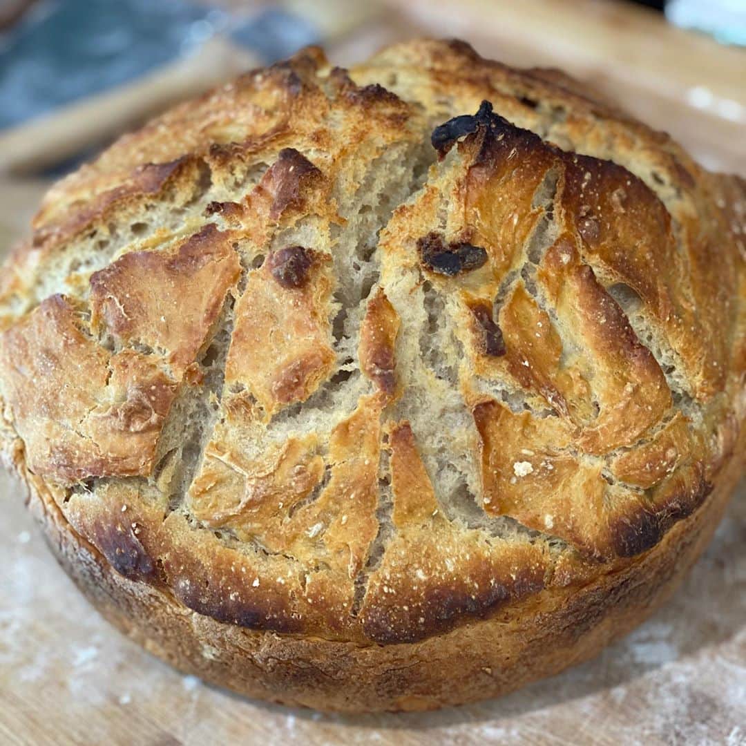 レイチェル・レフィブレのインスタグラム：「Thank you thank you thank you @jenniferlatham @tartinebakery for your amazing tutorials! I watched everything, was patient and look what happened!!! I placed the dough in the pot of the Dutch oven rather than the pan/lid and it has this really fun shape. Going to try a more conventional boule next.」
