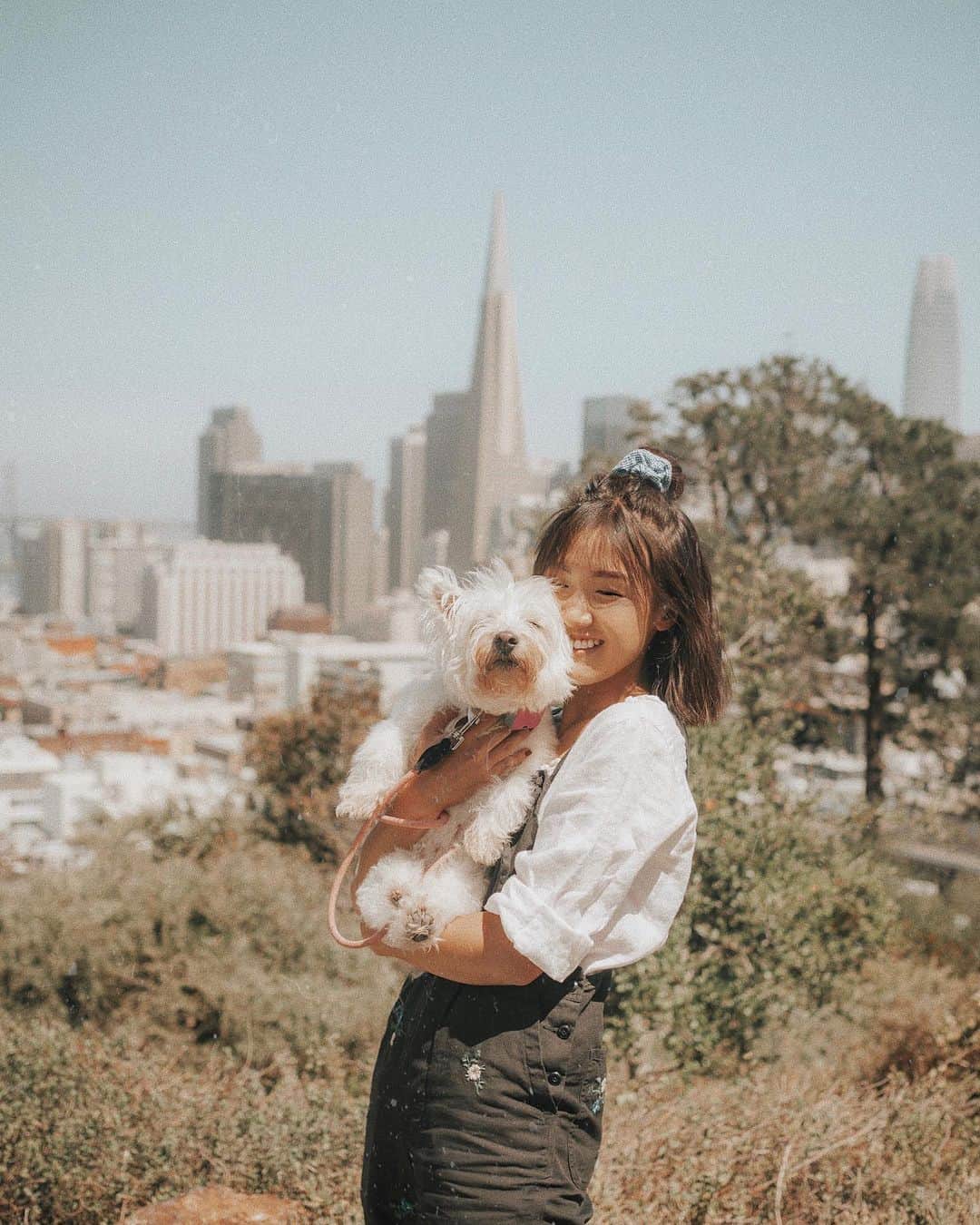 W E Y L I Eのインスタグラム：「The sweetest, cutest senior pup 🐶」