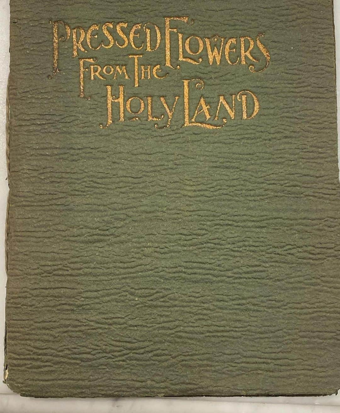 ベラ・ハディッドさんのインスタグラム写真 - (ベラ・ハディッドInstagram)「“Pressed Flowers from the Holy Land” by  Harvey B Greene, 1896💐 gathered in Jerusalem,Palestine ❤️🇵🇸 #FreePalestine」7月3日 1時21分 - bellahadid