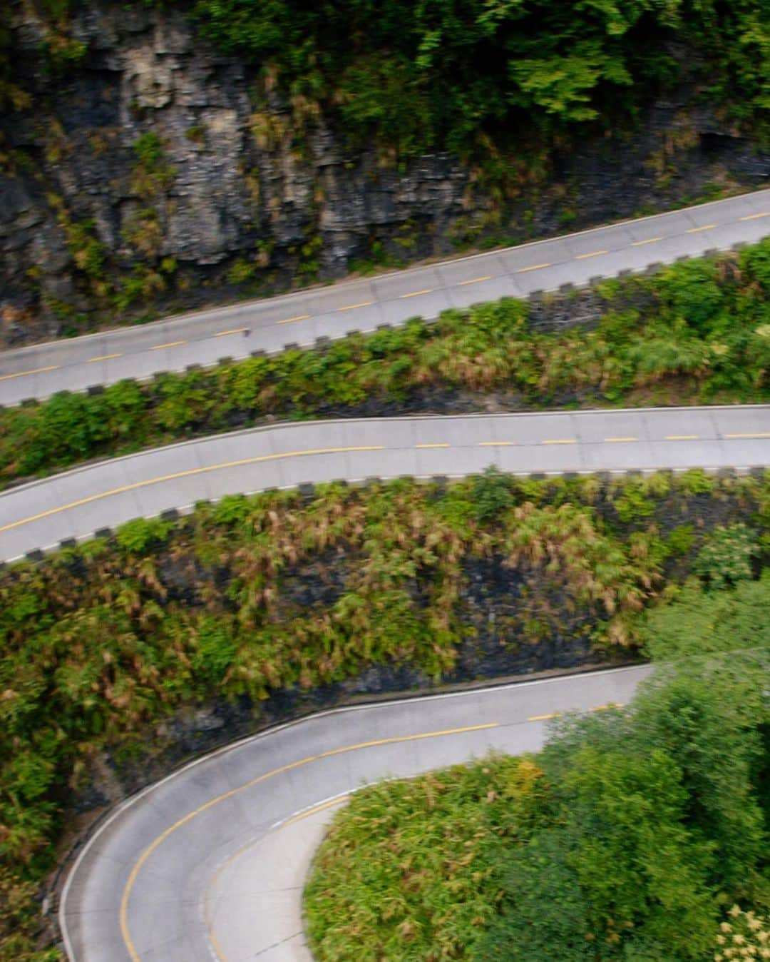 ケン・ブロックさんのインスタグラム写真 - (ケン・ブロックInstagram)「99 turns in 6.8 miles with almost 4,000 feet of elevation gain makes for a very epic ribbon-like road. Climbkhana TWO was meant to show what it takes to drive up this mountain at speed in my 914hp Ford F-150 Hoonitruck, and The Climbkhana Files mini-documentary shows you what it takes to film that action on one of the worlds most dangerous (yet beautiful) roads. All three episodes are live on my YouTube channel now - link is in my bio. #rallyracersdream #TheClimbkhanaFiles #ClimbkhanaTWO #FordF150 #Hoonitruck」7月3日 7時14分 - kblock43