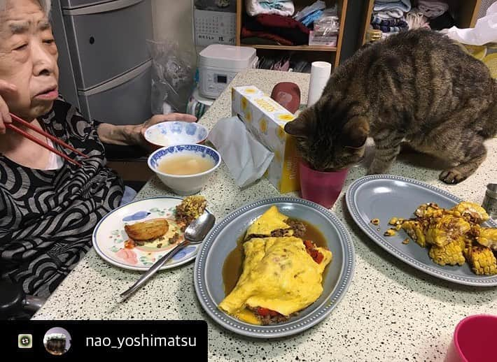 Kachimo Yoshimatsuさんのインスタグラム写真 - (Kachimo YoshimatsuInstagram)「私が家に帰る前、バーバのご飯中にココアがナナクロの代わりをしたらしい。いつもバーバのベッドで寝てるココちゃんが！役目を託されたのか？ （撮影: @nao_yoshimatsu) #うちの猫ら #cocoa #nanakuro #バーバ #バーバと猫 #ねこ #cat #ネコ #catstagram #ネコ部 http://kachimo.exblog.jp  #Repost with @Repostlyapp @nao_yoshimatsu ココちゃんが代わりに登って来た #baton touch」7月3日 2時04分 - kachimo