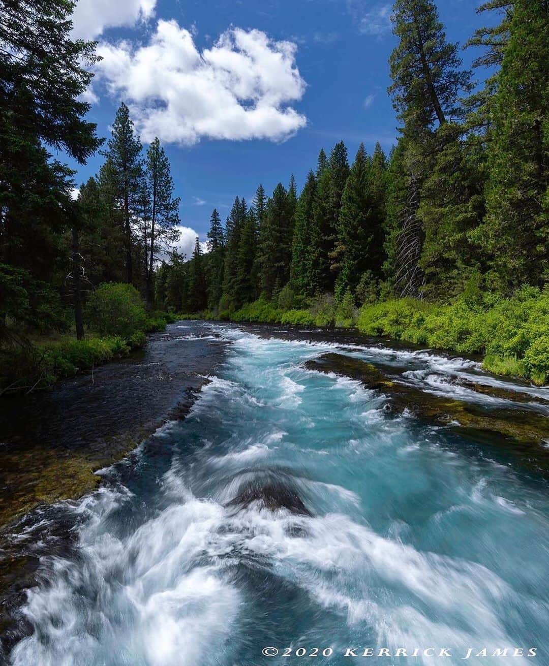 Ricoh Imagingのインスタグラム：「Posted @withregram • @kerrickjames5 Summer flow of the Metolius River, Oregon. Shot with Ricoh Pentax 645Z and 25mm F4 lens.  #ricoh #ricohimaging #ricohusa #pentaxiansunite」