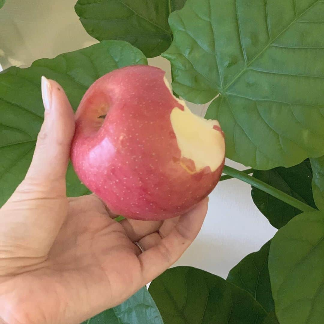 神山まりあさんのインスタグラム写真 - (神山まりあInstagram)「テーブルの上にこの食べかけリンゴが置いてあって、🐭かと思って慌てていたら、シャキシャキもぐもぐしている息子がソファーに座っていた。  冷蔵庫の前には小さな椅子が置いてあった。食いしん坊の確信犯👦🏻  もうすぐ4歳。  #欧米か」7月3日 15時13分 - mariakamiyama