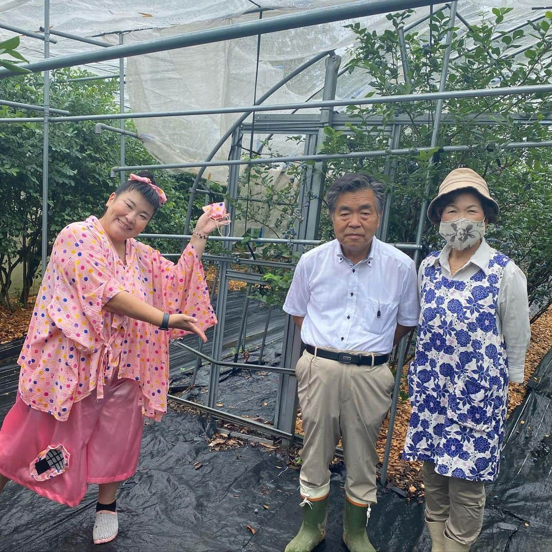 あべこさんのインスタグラム写真 - (あべこInstagram)「先週のハロー大分の中継は玖珠町にある「佐藤ブルーベリー農園」さんからでした💕  佐藤さん、御夫婦でやられているブルーベリー農園💕  かなり大粒なブルーベリー‼️  是非是非、ブルーベリー狩り、ブルーベリー摘み取り体験に行ってみて下さいね😊✨  #TOS #ハロー大分 #中継 #玖珠 #佐藤ブルーベリー農園 #ブルーベリー狩り #ブルーベリー摘み取り体験」7月3日 16時08分 - abekopan