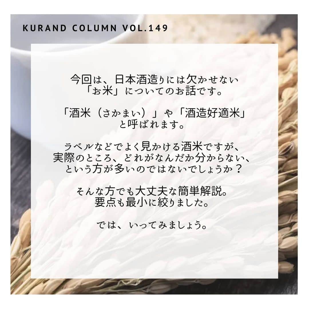 KURAND@日本酒飲み放題さんのインスタグラム写真 - (KURAND@日本酒飲み放題Instagram)「今回は「酒米」について。﻿ 日本酒のお米の世界、少しだけ見てみませんか？﻿ ﻿ 【KURAND COLUMN VOL.149】﻿ 日本酒のこと、少しだけ知る。﻿ 簡単解説「酒米」について。﻿ ﻿ 今回は、日本酒造りには欠かせない﻿ 「お米」についてのお話です。﻿ ﻿ 酒米（さかまい）や 酒造好適米と呼ばれます。﻿ ﻿ ラベルなどでよく見かける酒米ですが、﻿ 実際のところ、どれがなんだか分からない、﻿ という方が多いのではないでしょうか？﻿ ﻿ そんな方でも大丈夫な簡単解説。﻿ 要点も最小に絞りました。﻿ ﻿ では、いってみましょう。﻿ ――――――――――――――――――― ﻿ ﻿ 【1. 酒米とは？】﻿ ﻿ 「お米」という点では食用米と同じです。﻿ 良いお酒をつくるために特化、改良されています。﻿ ﻿ 「酒造りのために研究されたお米」が酒米です。﻿ 食用米より酒造りに向いた性質を持ちますが、﻿ そのまま食べるには食用米ほどは美味しくないです。﻿ ﻿ 一粒一粒の大きさが、食用米より大きめです。﻿ 日本酒造りではお米の外側を削るので、﻿ 大きい方が割れにくいのです。﻿ ﻿ 他にも、﻿ 心白（しんぱく）というお米の中心部分も大きめ、﻿ でんぷん割合が多く、タンパク質割合が少ないなど。﻿ ﻿ 雑味の少ない、綺麗なお酒をつくるための特徴です。﻿ ﻿ ――――――――――――――――――― ﻿ ﻿ 【2. 代表的な酒米4つ】﻿ ﻿ 今回は、「これさえ覚えておけば大丈夫」な、﻿ 代表的なものを4つ紹介します。﻿ ﻿ ■山田錦 (やまだにしき)﻿ 一番人気の酒米で、﻿ 酒米の王様とも呼ばれます。﻿ 主な産地は兵庫県﻿ 旨味もしっかりで、﻿ コクのある味わいになります。﻿ ﻿ ■美山錦（みやまにしき）﻿ 突然変異で誕生した﻿ ユニークな酒米です。﻿ 主な産地は長野県﻿ すっきりとキレイで﻿ 柔らかい味わいになりやすいです。﻿ ﻿ ■五百万石（ごひゃくまんごく）﻿ よくつかわれる酒米のひとつで﻿ 淡麗で軽快なお酒を造れます。﻿ 主な産地は新潟県﻿ ﻿ ■雄町（おまち）﻿ 最古の酒米でもあり、﻿ ファンの多い酒米です。﻿ 主な産地は岡山県﻿ 豊かで、旨味も強く﻿ しっかりした味わいに向きます。﻿ ﻿ ――――――――――――――――――― ﻿ ﻿ 【3. まだまだ進化中】﻿ ﻿ 先に紹介した4つの酒米は﻿ どれも王道であり、シェアも圧倒的に高いです。﻿ ﻿ 実際に使われ続ける理由もあり、﻿ 結果に裏打ちされた品質は保証済みと言えますね。﻿ ﻿ でも、現在でも都道府県を中心に﻿ 酒米の改良、開発は続いています。﻿ ﻿ より香りのよいお酒を造るためのお米、﻿ より味のしっかりしたお米、﻿ などなど。優れた酒米もたくさん誕生しています。﻿ ﻿ 研究に終わりはないのですね。﻿ ﻿ ――――――――――――――――――― ﻿ ﻿ いかがでしたか？﻿ ﻿ 最小限ではありますが、﻿ ちょっと知るだけでも、お酒の楽しみ方は広がります﻿ ﻿ ぜひ、「酒米」にも注目して、﻿ お酒をまた違った角度から楽しんでみては﻿ いかがでしょうか？﻿ ﻿ ――――――――――――――――――― ﻿ ﻿ KURANDは「お酒のある暮らし」をテーマに﻿ 写真やコラムをシェアしています。 ﻿ ﻿ お酒の詳細やお買い物は ﻿ ▼プロフィールのリンク先の公式HPから。 ﻿ @kurand_info ﻿ ﻿ ここだけのお酒、ユニークなお酒ががたくさん。﻿ 話題の「酒ガチャ」もございます。﻿ ﻿ まぜはぜひ、ページを見てみてください。﻿ ﻿ #kurand #kurandsakemarket #sakestagram #イン酒タグラム #飲みスタグラム #酒屋 #お酒好き #コラム #今日の一杯 #お米 #家飲み #家のみ #酒好き集まれ #酒米 #山田錦 #知って得する #見え方 #飲み比べ #酒ガチャ ＃酒類 #日本酒 #農業  #田んぼ #新潟 #兵庫 #長野 #岡山 #雄町 #晩酌 #酒ライフ」7月3日 16時16分 - kurand_info