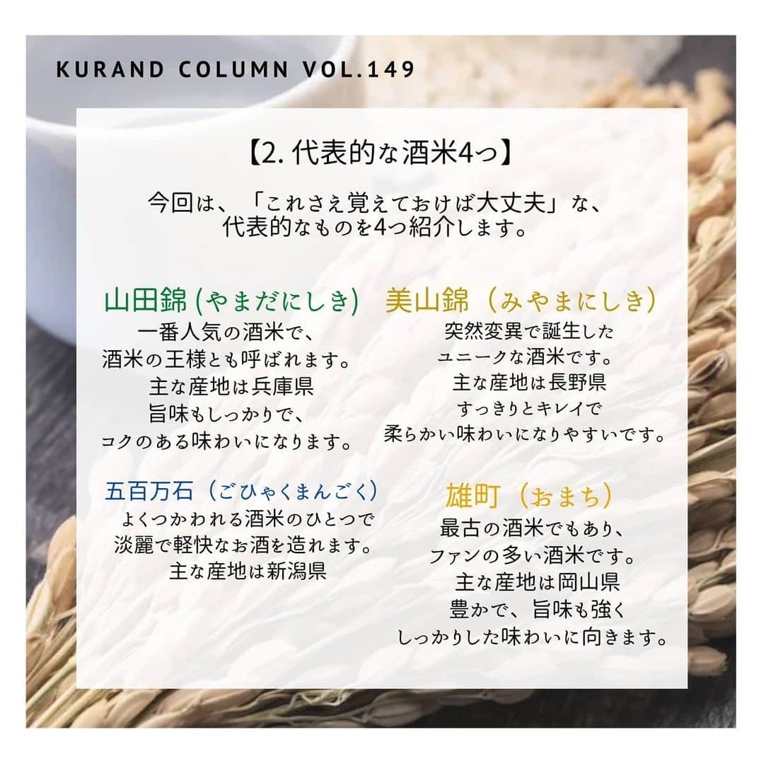 KURAND@日本酒飲み放題さんのインスタグラム写真 - (KURAND@日本酒飲み放題Instagram)「今回は「酒米」について。﻿ 日本酒のお米の世界、少しだけ見てみませんか？﻿ ﻿ 【KURAND COLUMN VOL.149】﻿ 日本酒のこと、少しだけ知る。﻿ 簡単解説「酒米」について。﻿ ﻿ 今回は、日本酒造りには欠かせない﻿ 「お米」についてのお話です。﻿ ﻿ 酒米（さかまい）や 酒造好適米と呼ばれます。﻿ ﻿ ラベルなどでよく見かける酒米ですが、﻿ 実際のところ、どれがなんだか分からない、﻿ という方が多いのではないでしょうか？﻿ ﻿ そんな方でも大丈夫な簡単解説。﻿ 要点も最小に絞りました。﻿ ﻿ では、いってみましょう。﻿ ――――――――――――――――――― ﻿ ﻿ 【1. 酒米とは？】﻿ ﻿ 「お米」という点では食用米と同じです。﻿ 良いお酒をつくるために特化、改良されています。﻿ ﻿ 「酒造りのために研究されたお米」が酒米です。﻿ 食用米より酒造りに向いた性質を持ちますが、﻿ そのまま食べるには食用米ほどは美味しくないです。﻿ ﻿ 一粒一粒の大きさが、食用米より大きめです。﻿ 日本酒造りではお米の外側を削るので、﻿ 大きい方が割れにくいのです。﻿ ﻿ 他にも、﻿ 心白（しんぱく）というお米の中心部分も大きめ、﻿ でんぷん割合が多く、タンパク質割合が少ないなど。﻿ ﻿ 雑味の少ない、綺麗なお酒をつくるための特徴です。﻿ ﻿ ――――――――――――――――――― ﻿ ﻿ 【2. 代表的な酒米4つ】﻿ ﻿ 今回は、「これさえ覚えておけば大丈夫」な、﻿ 代表的なものを4つ紹介します。﻿ ﻿ ■山田錦 (やまだにしき)﻿ 一番人気の酒米で、﻿ 酒米の王様とも呼ばれます。﻿ 主な産地は兵庫県﻿ 旨味もしっかりで、﻿ コクのある味わいになります。﻿ ﻿ ■美山錦（みやまにしき）﻿ 突然変異で誕生した﻿ ユニークな酒米です。﻿ 主な産地は長野県﻿ すっきりとキレイで﻿ 柔らかい味わいになりやすいです。﻿ ﻿ ■五百万石（ごひゃくまんごく）﻿ よくつかわれる酒米のひとつで﻿ 淡麗で軽快なお酒を造れます。﻿ 主な産地は新潟県﻿ ﻿ ■雄町（おまち）﻿ 最古の酒米でもあり、﻿ ファンの多い酒米です。﻿ 主な産地は岡山県﻿ 豊かで、旨味も強く﻿ しっかりした味わいに向きます。﻿ ﻿ ――――――――――――――――――― ﻿ ﻿ 【3. まだまだ進化中】﻿ ﻿ 先に紹介した4つの酒米は﻿ どれも王道であり、シェアも圧倒的に高いです。﻿ ﻿ 実際に使われ続ける理由もあり、﻿ 結果に裏打ちされた品質は保証済みと言えますね。﻿ ﻿ でも、現在でも都道府県を中心に﻿ 酒米の改良、開発は続いています。﻿ ﻿ より香りのよいお酒を造るためのお米、﻿ より味のしっかりしたお米、﻿ などなど。優れた酒米もたくさん誕生しています。﻿ ﻿ 研究に終わりはないのですね。﻿ ﻿ ――――――――――――――――――― ﻿ ﻿ いかがでしたか？﻿ ﻿ 最小限ではありますが、﻿ ちょっと知るだけでも、お酒の楽しみ方は広がります﻿ ﻿ ぜひ、「酒米」にも注目して、﻿ お酒をまた違った角度から楽しんでみては﻿ いかがでしょうか？﻿ ﻿ ――――――――――――――――――― ﻿ ﻿ KURANDは「お酒のある暮らし」をテーマに﻿ 写真やコラムをシェアしています。 ﻿ ﻿ お酒の詳細やお買い物は ﻿ ▼プロフィールのリンク先の公式HPから。 ﻿ @kurand_info ﻿ ﻿ ここだけのお酒、ユニークなお酒ががたくさん。﻿ 話題の「酒ガチャ」もございます。﻿ ﻿ まぜはぜひ、ページを見てみてください。﻿ ﻿ #kurand #kurandsakemarket #sakestagram #イン酒タグラム #飲みスタグラム #酒屋 #お酒好き #コラム #今日の一杯 #お米 #家飲み #家のみ #酒好き集まれ #酒米 #山田錦 #知って得する #見え方 #飲み比べ #酒ガチャ ＃酒類 #日本酒 #農業  #田んぼ #新潟 #兵庫 #長野 #岡山 #雄町 #晩酌 #酒ライフ」7月3日 16時16分 - kurand_info
