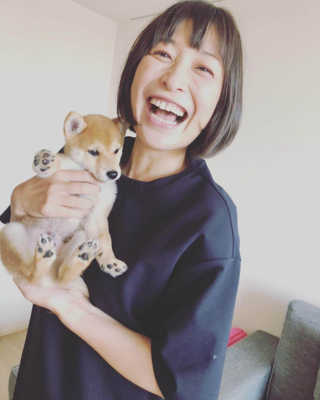 小野真弓さんのインスタグラム写真 - (小野真弓Instagram)「おはようございます(o^^o) やっと風のない穏やかな朝です☁️✨ 今日も良い一日を🌺 昨日は、用事の合間にチラリと、 @ayumi_shiina1201 に会いに🙋‍♀️ 赤ちゃん豆柴🐶幸太くんにも会えました🥺 もう可愛いすぎて震える。メロメロー😍 今度はゆっくり、ハナハルも一緒に遊んでね✨(*´꒳`*) #豆柴#幸太くん#椎名歩美　ちゃん#いぬとも #いぬすたぐらむ #いぬばか部 #shibainu #チワワ#ハナちゃん#チワマル#ハルくん#chihuahua #maltese #mixdog #doglover #dogstagram  #家庭菜園#トマト#胡瓜#いんげん#ブルーベリー#花 今朝の収穫🍅🥒🍇 伸び伸びで、剪定したお花も参加🌸 10年以上我が家にいるけど、このお花、名前を忘れてしまった、、白と青の花が咲きます( ・∇・)どなた様かわかりますか❓ 追記→#ルリマツリ　だそうです😍教えて頂きありがとうございます📝ああ、すっきり✨持つべきものはsnsともだちですね🙇‍♀️✨」7月3日 7時44分 - hanaharuaroi