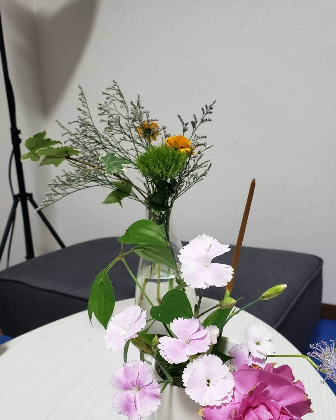 Hiromi Tomiiさんのインスタグラム写真 - (Hiromi TomiiInstagram)「. . おはよん(*^^*) @bloomeelife 今週のお花が届いたよ(*^^*) . . 前のお花が元気がなくなってきたなーって頃に届くよん(*^^*)私は500円コースにしてる(*^^*) . 先週のお花もまだげんきだから一緒に飾ってる(*^^*) . 初回のお花お届けが無料になるクーポンはこちら ▼▼クーポンコード▼▼ ■クーポンコード：hiromi ■有効期限：2020年7月30日 . . . . #bloomeelife#花のある暮らし#お花のある暮らし #サブスク#自由華#お花好きな人と繋がりたい #写真好きな人と繋がりたい#テマリソウ#姫ひまわり#HBスターチス#ブルーファンタジア#アイビー」7月3日 8時02分 - hiromi.tomii