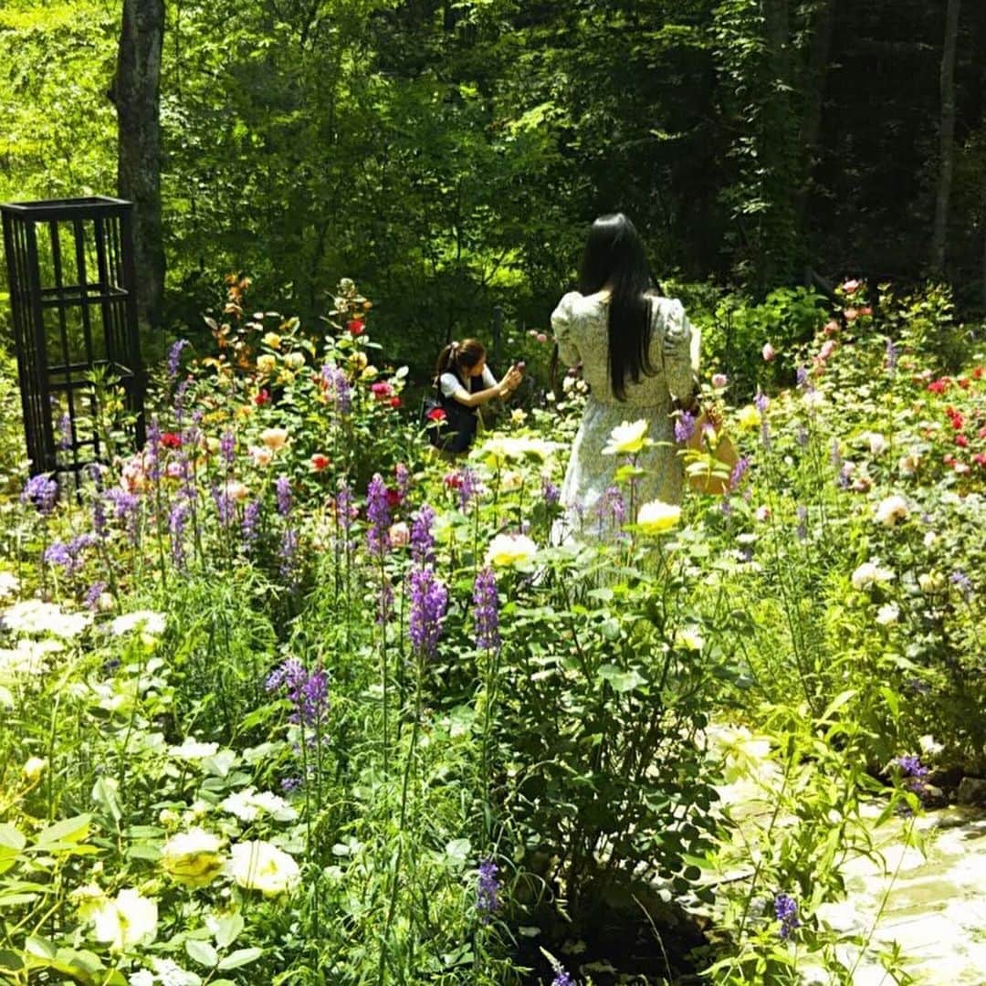宮崎文子さんのインスタグラム写真 - (宮崎文子Instagram)「🍀trip🍀 先週末、束の間のプライベートトリップ。 まさにことりっぷ👜  軽井沢は仕事で昨年、何回か訪れたけどプライベートは久しぶりで、 仲よしの友達と久々にゆっくりしてきました♪  朝イチお邪魔したバラ園は、オーナーのかたが本当に丁寧に庭作りをしていて、 紫を基調としたという花たちは、 繊細でもあり可憐でもあり🌹 斜面を利用していたので、見上げると囲まれているのでおとぎ話の中に迷いこんだみたい。  温泉に入り、満天の星空をながめ、みんなで料理😋🍴  ご時世を鑑みあまり派手なことはしなかったけど、癒しのひとときとなりました🍀  #軽井沢 #沢村本店 #ガーデニング #バラ園 #2週連続 #星野リゾート #でも泊まってない😢  #星野温泉 #また自粛がんばろう #gardening #hannahulagarden」7月3日 8時33分 - fumiko.miyazaki29