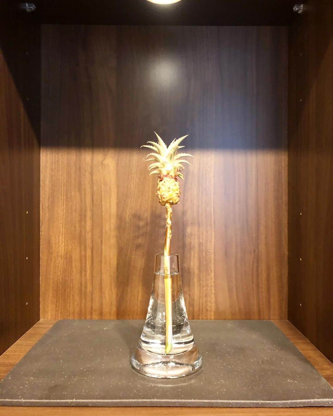 秋山真太郎のインスタグラム