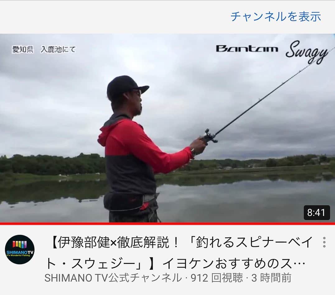 伊豫部健さんのインスタグラム写真 - (伊豫部健Instagram)「https://www.youtube.com/watch?v=yI1e2nFgRoo  YouTubeはシマノチャンネルがアップされました‼️ @shimanofishing_jp  今回はスウェジーを使ったスピナーベイティングの実釣と解説を愛知県は入鹿池でしてきました。 シャローをゆっくり引くためにトレーラーに10FTUのFin's P（フィンズピー）を装着しながらスローに展開してるスピナーベイトの使い方も是非観て頂けたらと思います👍 水位が増えた冠水植物に対しての攻め方や使い方などをご紹介してるので、是非ご覧になってみてください(^^)  @10ftu_kiob_smpfishing  @10tenfeetunder_kiob  @se9rets  @ken_iyobe  @zhanna_smpfishing  @obick_55  @kattobi_iyobe  @autogarage_omy  @sunline_japan  @gary_international_kk  @sns_hayabusa  @talex_fishing  @ringstar_1889  @mazda_jp  @skeeter_boats  @yamahaoutboards  #iyoken #kiob #Bin5 #イヨケン #伊豫部健 #セキュレッツ #10ftu  #10tenfeetunder  #シマノ #シマノチャンネル #バンタム #スウェジーtw  #バンタム170m  #バンタムmgl  #フィンズピー」7月3日 9時37分 - ken_iyobe