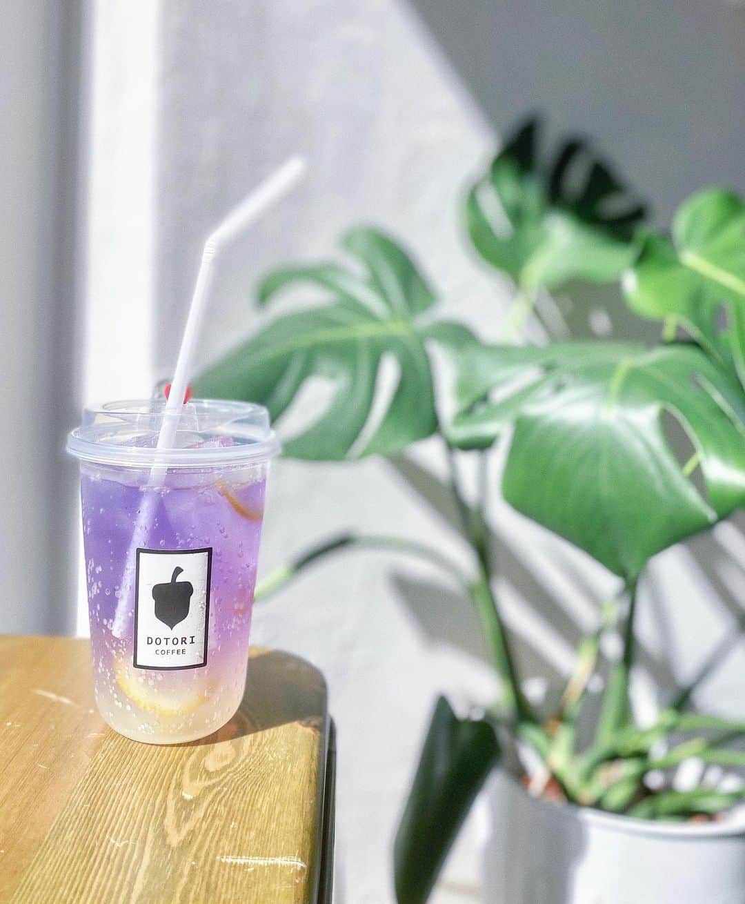 布川桃花のグルメインスタ