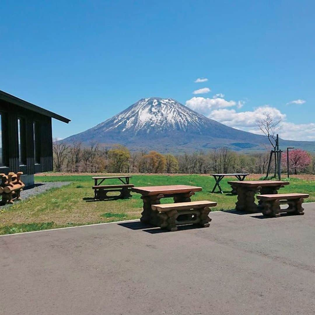 北海道じゃらん【公式】さんのインスタグラム写真 - (北海道じゃらん【公式】Instagram)「ニセコで羊蹄山を望むテラスランチ！ ﻿  ﻿ 本日の#1日1得 ネタは ﻿ ニセコ町『ニセコ高橋牧場ピザショップMANDORIANO』の「4種チーズのピザ」！ ﻿  ﻿ 自社牧場の新鮮な牛乳で作るチーズを、工場併設のピザショップで！ ﻿ 羊蹄山を見ながらのテラス席で味わえます！テイクアウトも可能♪ ﻿  ﻿ 詳しい情報は北海道じゃらん7月号P71をチェック！ ﻿  ﻿ #北海道じゃらん #じゃらん #北海道じゃらん7月号 #北海道 #1日1得 #お得 #ニセコ #ニセコグルメ #ニセコ高橋牧場ピザショップMANDORIANO #チーズ #ピザ #japan #hokkaido #niseko #また旅へ」7月3日 9時55分 - hokkaido_jalan