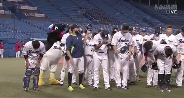 青木佐知のインスタグラム：「・ 応燕してくださってる方々へ感謝の想いをこめて✨ 2枚目の上田劇場も素晴らしい！ 雰囲気を作ってくれて、感謝しかないです🙏 今後の選手のカメラパフォーマンスに注目ですね❣️ #いつも応燕ありがとうございます #カメラやアプリの向こう側にたくさんの声燕があります #キャップ先生みたい」