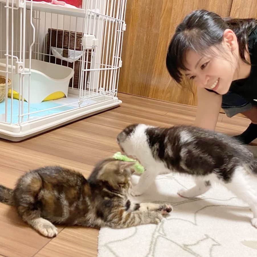 石原詢子のインスタグラム