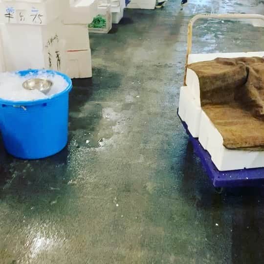 のインスタグラム：「7月3日 市場でのやり取りの一幕です。活け魚屋さんの川鉄さん。お店の後ろから侵入してしまいすみませんでしたー 本日は活タコをお安く譲って頂きました。 ありがとうございます 明日も宜しくお願い致します  今日も雨風の影響で青魚は特に厳しい感じ、この時期になると魚の種類も少ないし梅雨が明けても台風来たり、満月になると九州の休漁があったりとかなり意識し市場でもしっかり情報を集めて日々買い物をしています  日々良い魚をより安く譲って頂きお客様に少しでも満足を届けられる様に市場を回っています ぐずついた天気ですがお昼から魚金は営業していますので是非お立ち寄り下さい  仕入部　片之坂 #魚金 #新橋#新橋居酒屋#居酒屋#銀座#京橋#神田#海鮮丼#刺身#吉祥寺#鯵#池袋#タコ#たらこパスタ#刺身盛り合わせ#パエリア#渋谷#魚好きと繋がりたい #レモンサワー#馬車道#本鮪#横浜グルメ#飲酒タグラム #オープン#日本酒好きな人と繋がりたい #どんぶり#うなぎ#ステーキ#金目鯛 #yummy」