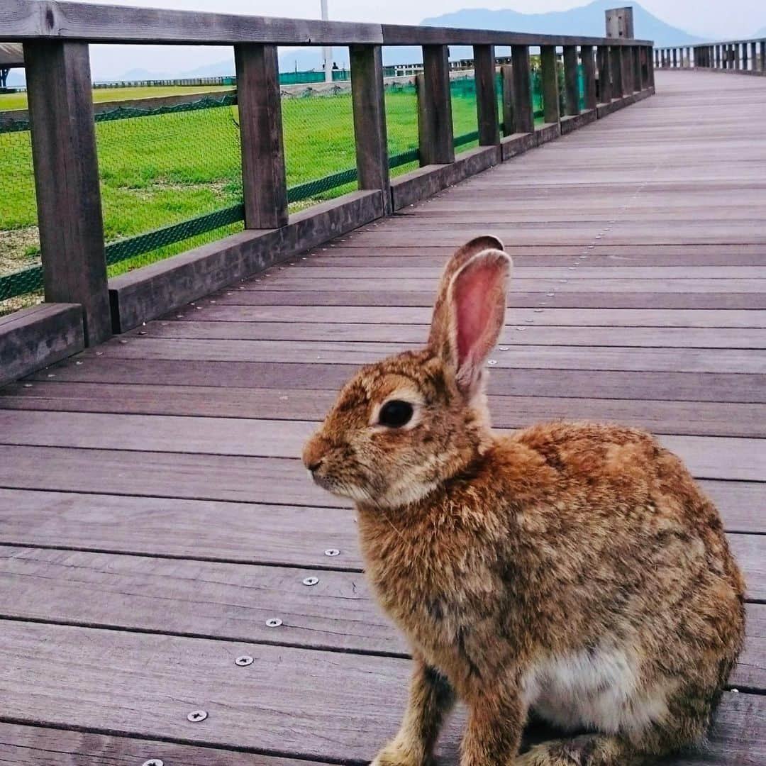 ボートレース宮島のインスタグラム