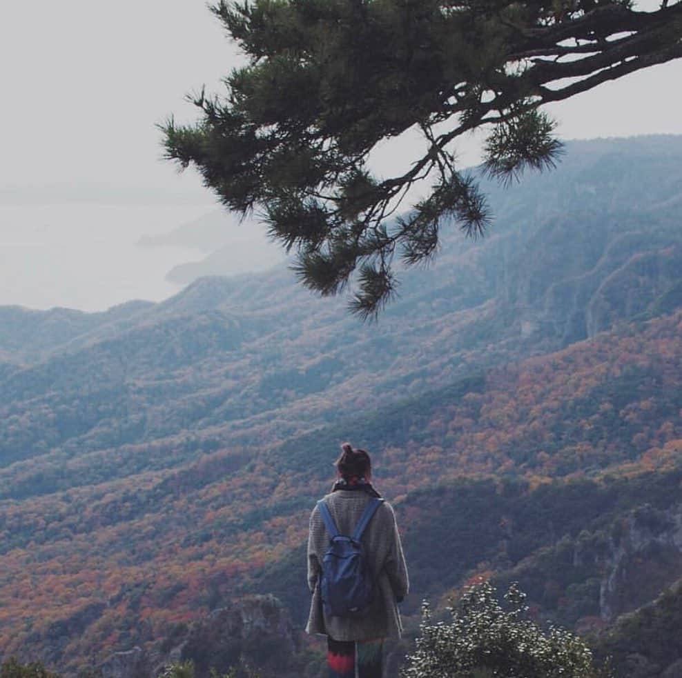 CABINZEROさんのインスタグラム写真 - (CABINZEROInstagram)「Every day is a journey 🗺🌈 Thank you so much for the amazing photo 😍📸 @kanaho_show 😉 #cabinzero #repost #beautiful #view #moutains #thankyou #travelling #travellerlife #travellover #backpacker #backpack #classic #instagood #adventuretime #explore #traveltheworld #staysafe #thankyou」7月3日 12時52分 - cabinzero