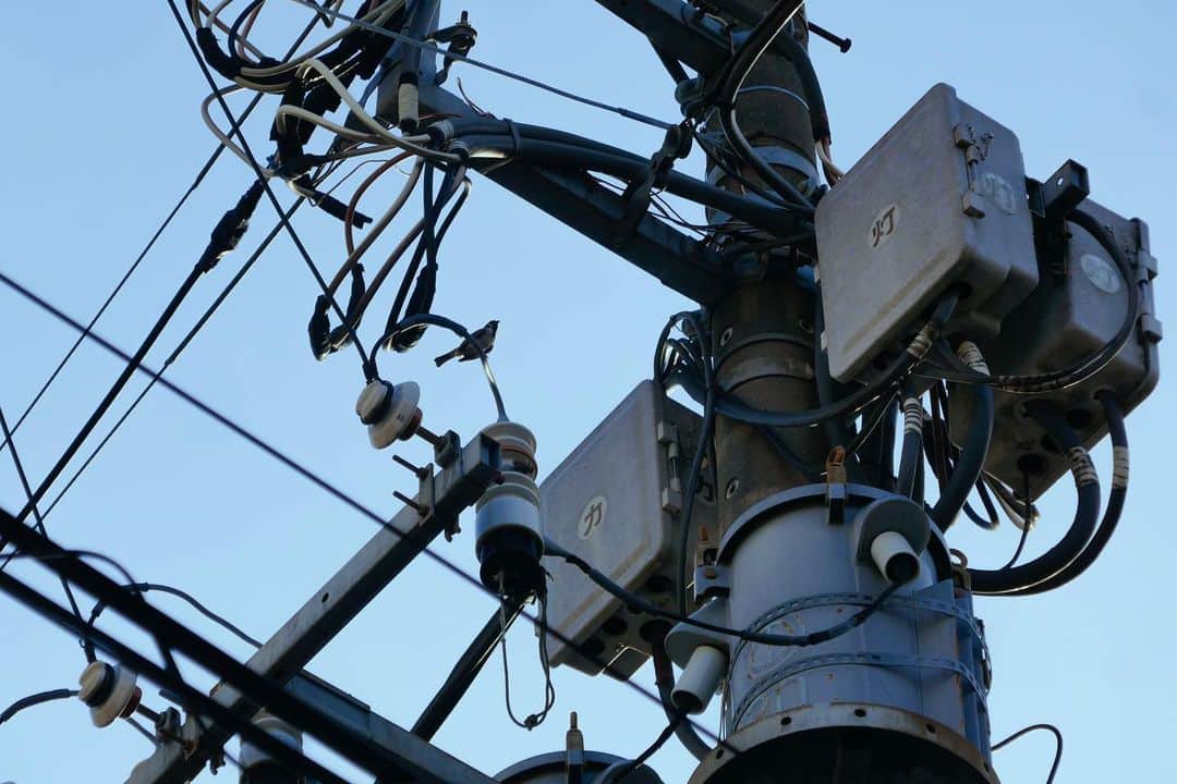 石山蓮華のインスタグラム：「部品のようにスズメが止まる #いい電線  電気新聞「電線あるき」連載2回目が掲載されました！ ウェブ版はストーリーのURLから読めます🕊 短いのでささっと読んでみてください！  A sparrow is perched on the wire like a part. The second in a series of articles in the Denki Shimbun has been published! You can read the web version at the story's URL 🕊  #電線 #electric #electriccable #electricalwires #electricwire #electricwirecable #wire #sparrow」
