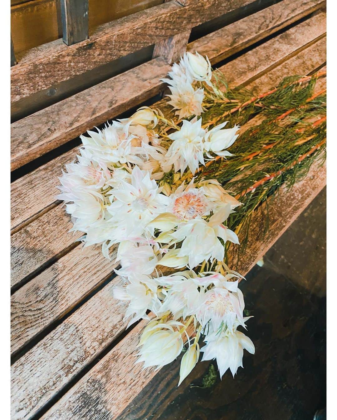 高山都さんのインスタグラム写真 - (高山都Instagram)「撮影用に朝から @the.daffodils.flowershop でお買い物。 この季節のモケモケのスモークツリーは抱えてるだけで気分が上がる。」7月3日 13時13分 - miyare38
