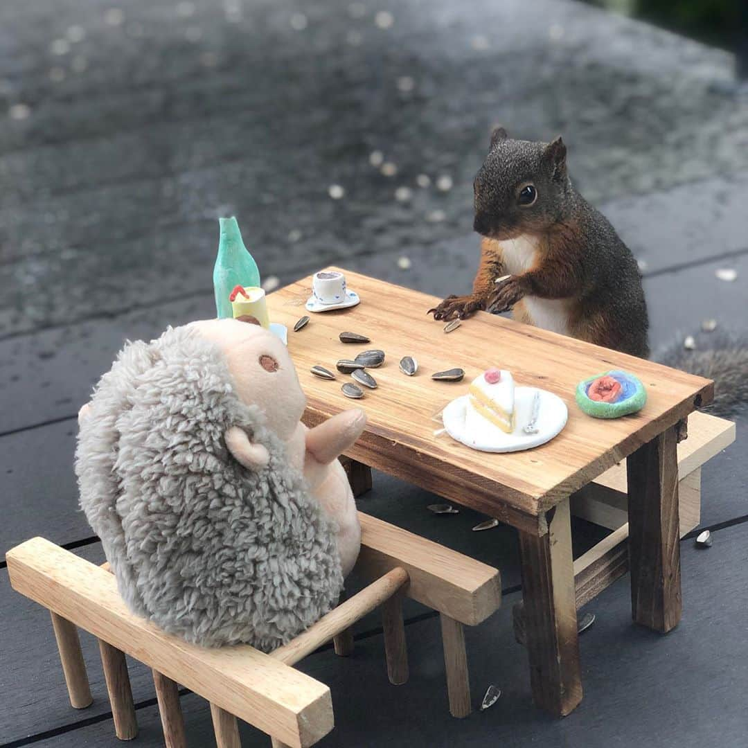 藤沢久美さんのインスタグラム写真 - (藤沢久美Instagram)「#今日のリス #ともだち #はりねずみ  #カフェ #squirrel  #squirrellife」7月3日 13時31分 - kumifujisawa