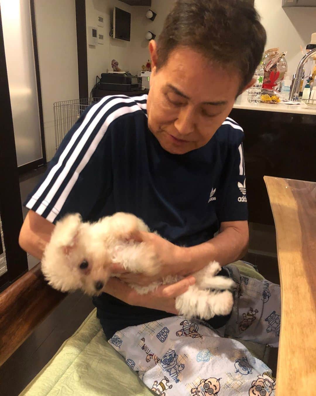 加藤綾菜さんのインスタグラム写真 - (加藤綾菜Instagram)「カトちゃんのパジャマもカトちゃん❤️  ※抱いてるのは私達の愛犬じゃありません🐶」7月3日 14時22分 - katoayana0412