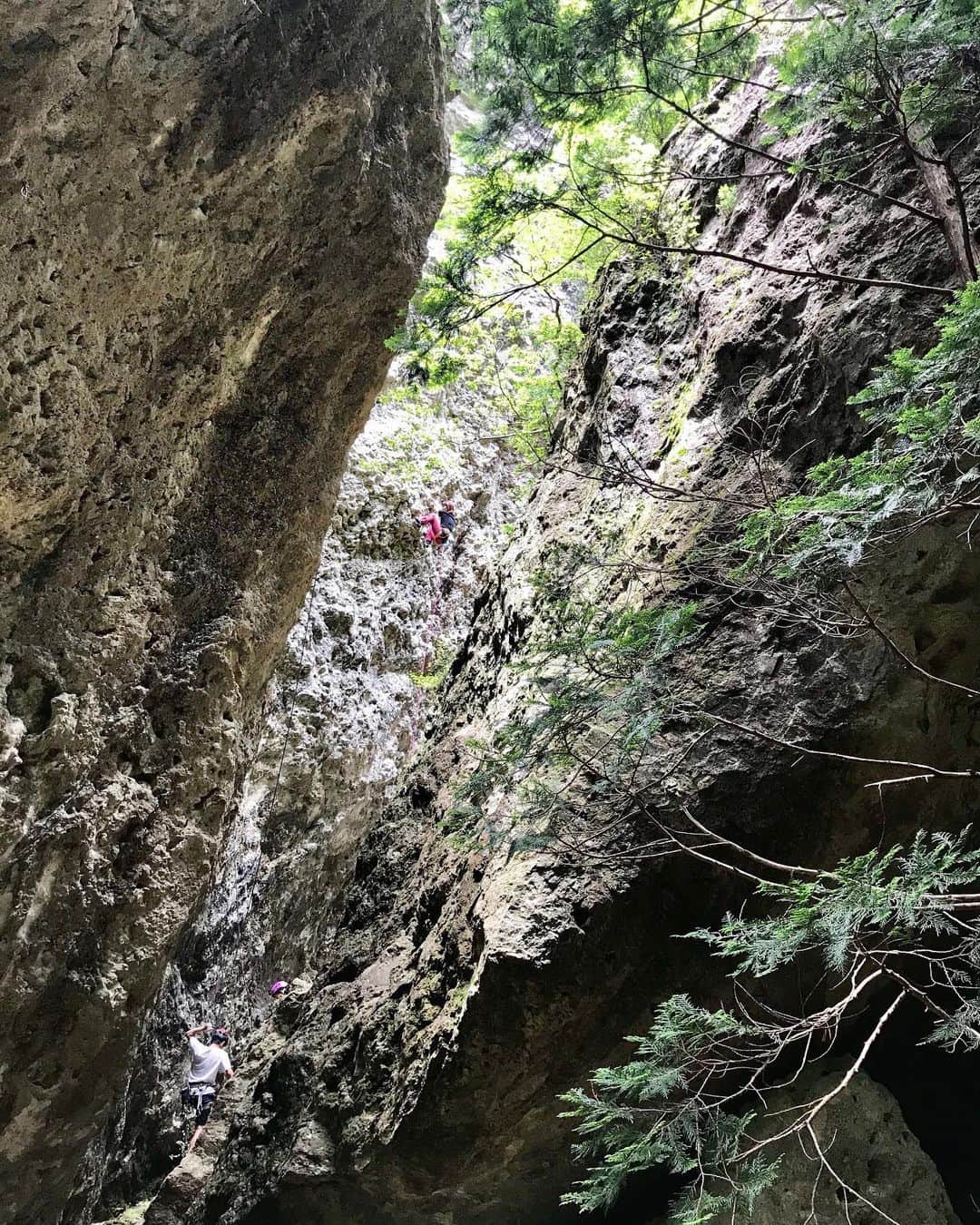 義村萌さんのインスタグラム写真 - (義村萌Instagram)「2020.06.29  鳳来 . 念願の鳳来！ ひたすら楽しい。 足腰が貧弱でアプローチは死にそうだったけど。  #climbing #leadclimbing #鳳来」7月3日 14時41分 - moe.yoshimura