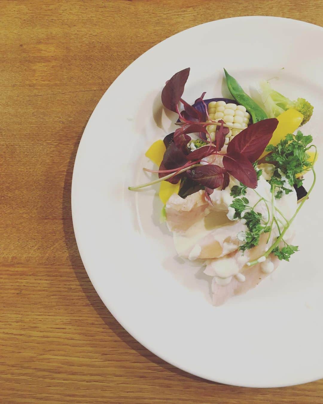 猫沢エミのグルメインスタ