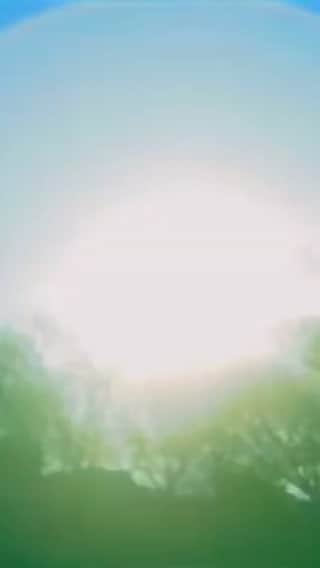 A Place to Bury Strangersのインスタグラム：「Here’s the video for “Ego Death” the third single off of our second album Exploding Head (2009).  It was directed by our friend and long time projectionist wizard @spencerbewley  Ego Death was originally called Gimme Acid and dates back to the earlier days of A Place To Bury Strangers.  It is many people’s favorite APTBS song.  Spencer broke his wrist yesterday jumping out of the way of a bicycle. We love you Specner and hope you get well soon!  . . . . . . . #egodeath #spencerbewley #aplacetoburystrangers #aptbs #explodinghead @2009 #getwellsoon #gimmeacid #jayspace #jonomofo」