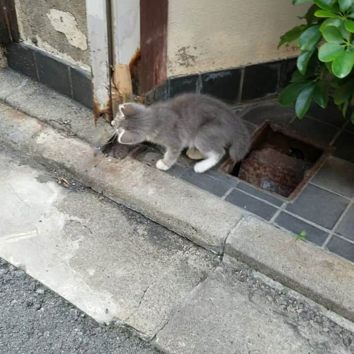 谷口キヨコのインスタグラム
