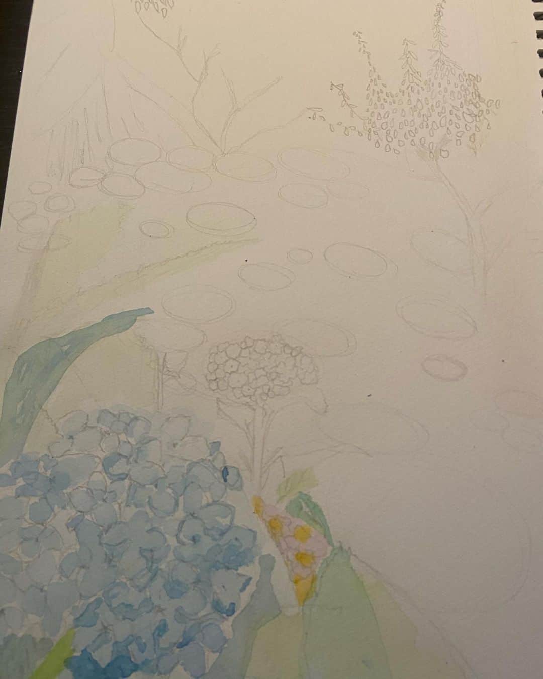 野崎萌香さんのインスタグラム写真 - (野崎萌香Instagram)「昨日のプレバト！！にて  私は風待月の紫陽花を 描きました🎨  観てくださった皆さん、 ありがとうございました💭☔️🌈」7月3日 16時56分 - moeka_nozaki