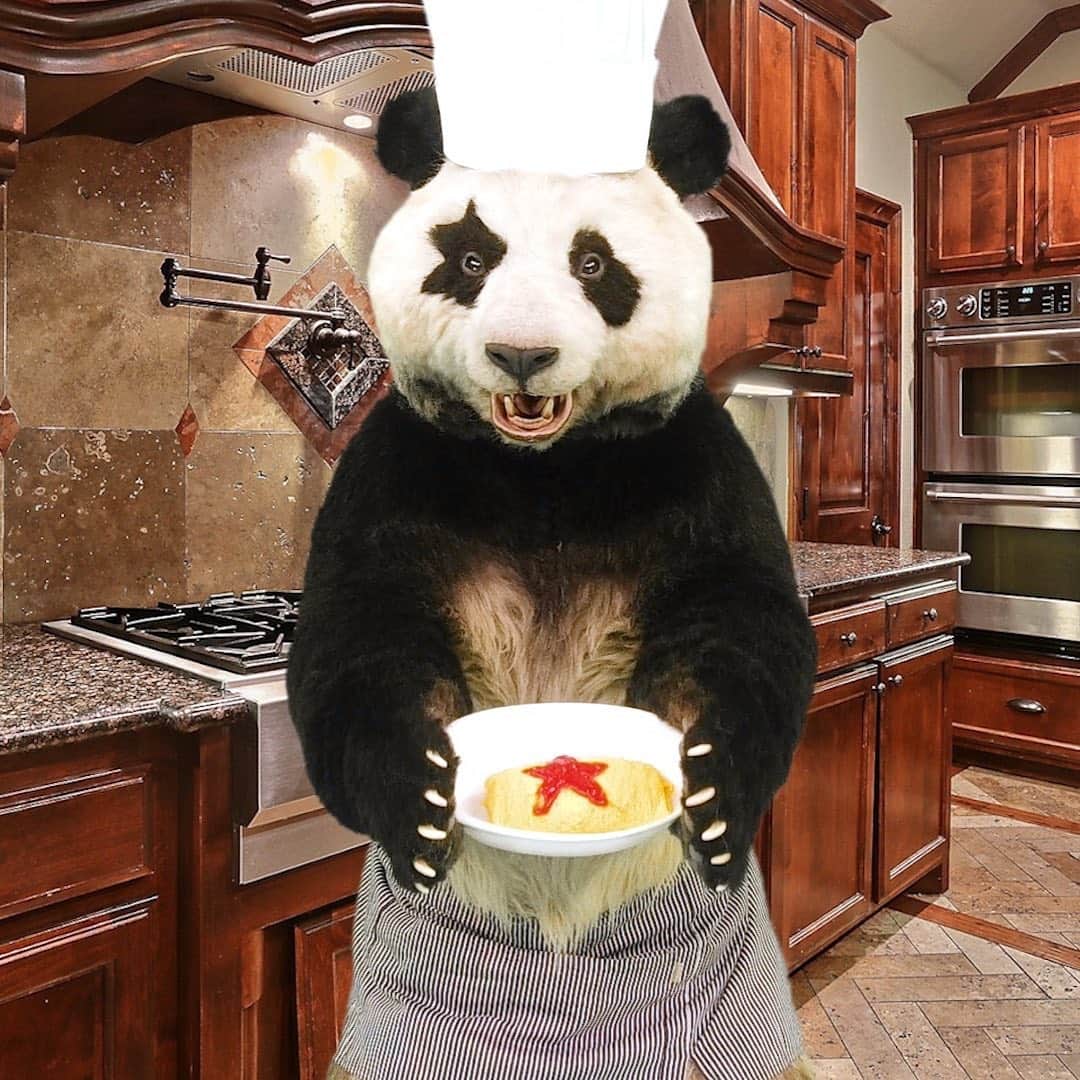 星星（セイセイ）さんのインスタグラム写真 - (星星（セイセイ）Instagram)「👨‍🍳 . #星星シェフ #得意料理はオムライスター . きょうの #ベラベラENGLISH は…💯 🌟Beat it! 🌟あっち行けー！ . #星星 #パンダ #panda #pandagram #パンダ好きな人と繋がりたい #ZIP!」7月3日 16時59分 - seisei_panda