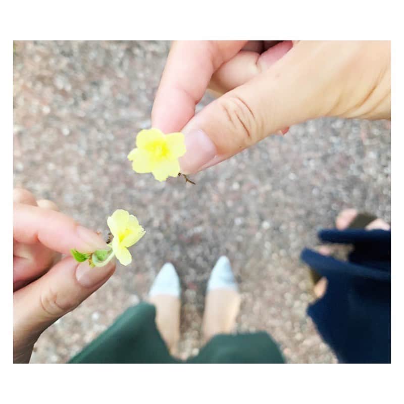 市橋有里のインスタグラム：「早く落ち着いて家族と会える日常が戻ってきますように✨ ・ #家族 #もらった小さな野花 #小さな幸せ #instagood  #family」