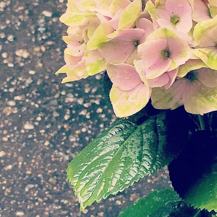 祥吉のグルメインスタ