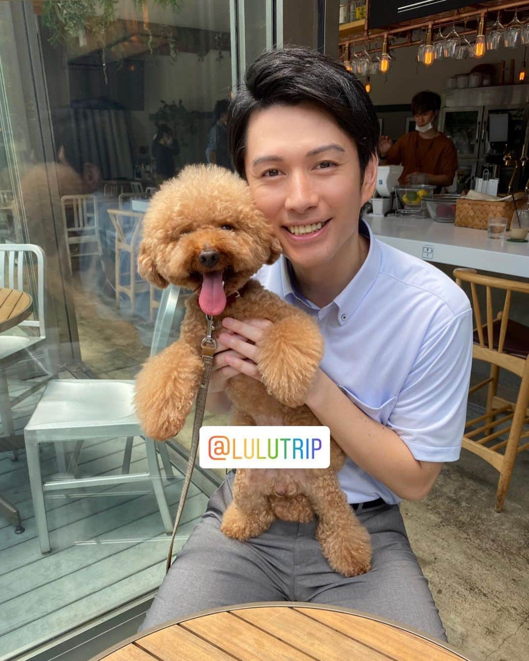 加藤仁志さんのインスタグラム写真 - (加藤仁志Instagram)「休憩中一緒だったルルと🐶📸 ルル遊んでくれてありがとうー！ @lulutrip #トイプードル #shooting #café #恵比寿」7月3日 17時26分 - hitoshikatou