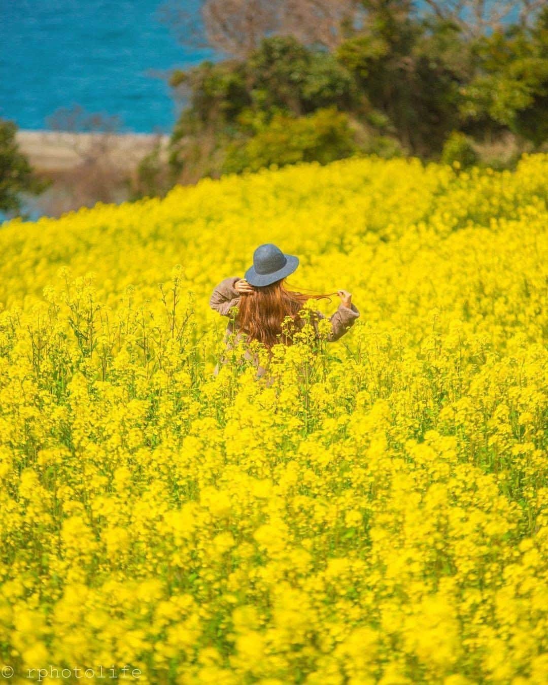 エイチ・アイ・エスのインスタグラム：「日本の写真で虹を作ろう🌈 本日は #日本の黄色のセカイ より黄色のお写真をご紹介💛 . 『長崎鼻ビーチリゾート』 約2000万本の菜の花が咲いている九州最大級の菜の花畑。 段々畑の岬に咲く一面の菜の花の向こう側には一面の青い海が広がっています✩ 気持ちの良い海の風に吹かれ黄色いビタミンカラーと甘い菜の花香りに囲まれて、とっても元気の出るスポットです♪ . 📍 大分県「長崎鼻ビーチリゾート」 📷 @rphotolife < Thank you! . . ―― 日本全国の写真で虹を作ろう ―― 色とりどりの日本の写真で全国を7色で彩りませんか？ 「#日本の〇色のセカイ」 次の7色から色を選んでを投稿してね☟ 白・赤・オレンジ・黄・緑・青・紫 集まったお写真はHISの各メディアやSNSでご紹介します😃 . 見たい景色を探して、“おうちで”世界を楽しもう♪ #次はどこに行こうかな . . #大分 #大分旅行 #花畑 #国内旅行 #菜の花 #夏休み #yellow  #おうち旅行 #写真好きな人と繋がりたい #ファインダー越しの私の世界 #誰かに見せたい風景 #絶景 #旅行 #世界遺産 #死ぬまでに行きたい世界の絶景 #instatravel #instapassport #instatraveling #travelgram #lovetravel #traveljapan #lovers_nippon #japan #photooftheday #japantrip #japantravel #japan」
