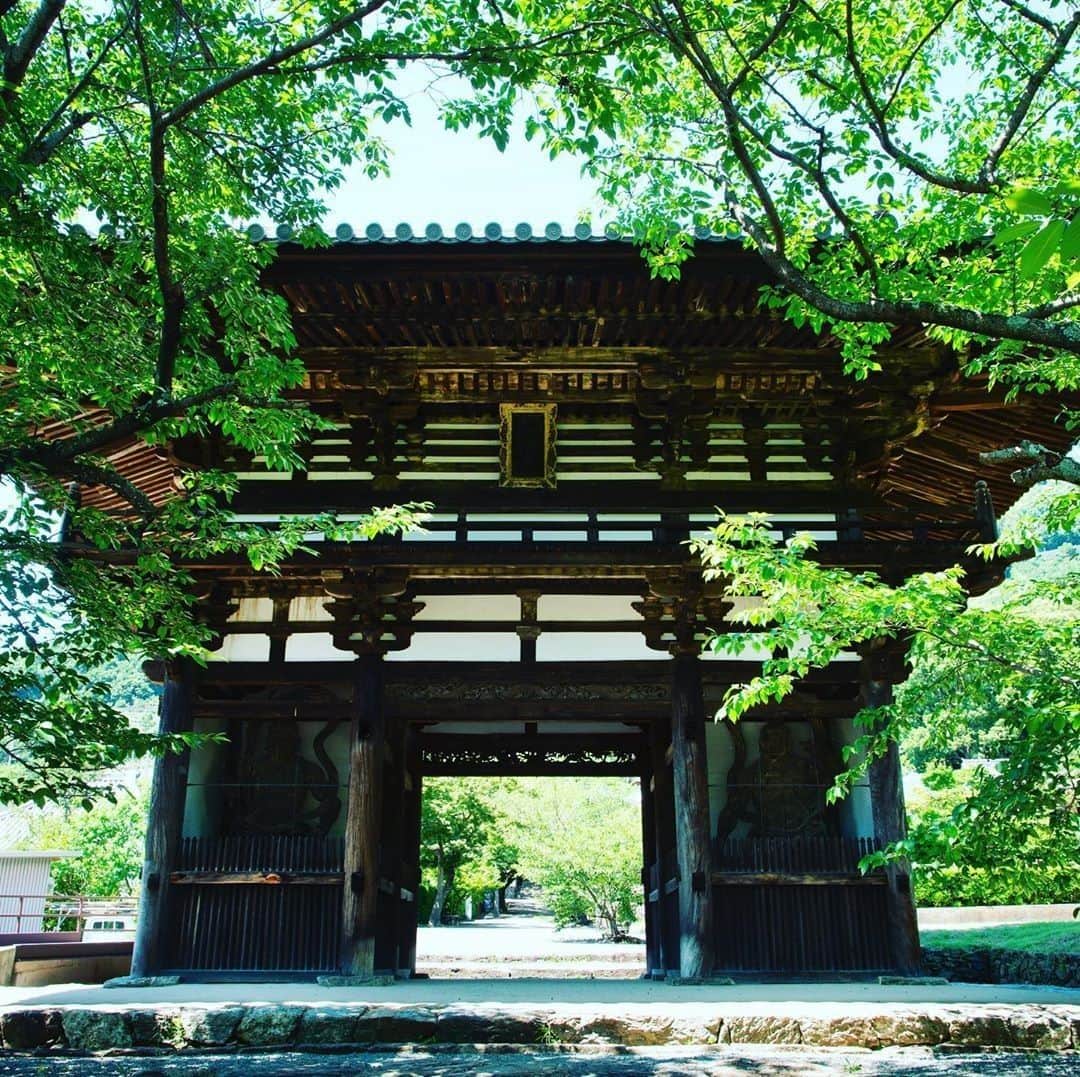 Visit Wakayamaさんのインスタグラム写真 - (Visit WakayamaInstagram)「.⠀ We love seeing Chohoji Temple surrounded by lush greenery. ⠀ Summer is truly here! ⠀ 📸: @kainan_kanko」7月3日 18時00分 - visitwakayama