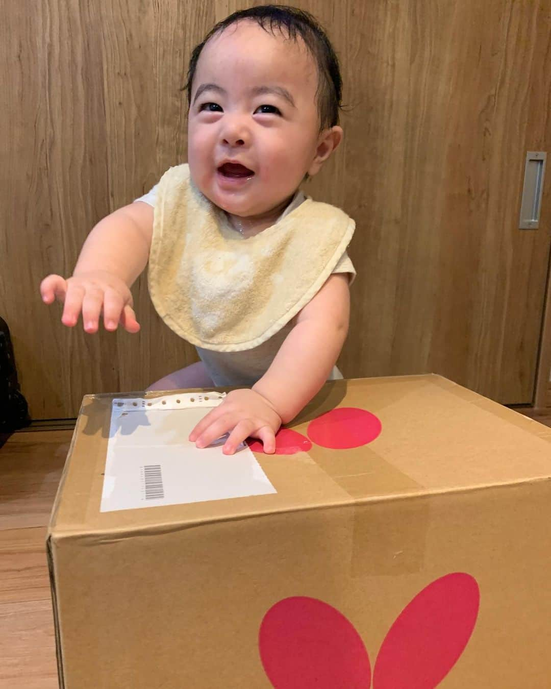 岸川聖也さんのインスタグラム写真 - (岸川聖也Instagram)「息子もバタフライが大好きです😊👶🏻🏓🦋 #BUTTERFLY #バタフライ #息子#son」7月3日 18時29分 - seiyakishikawa