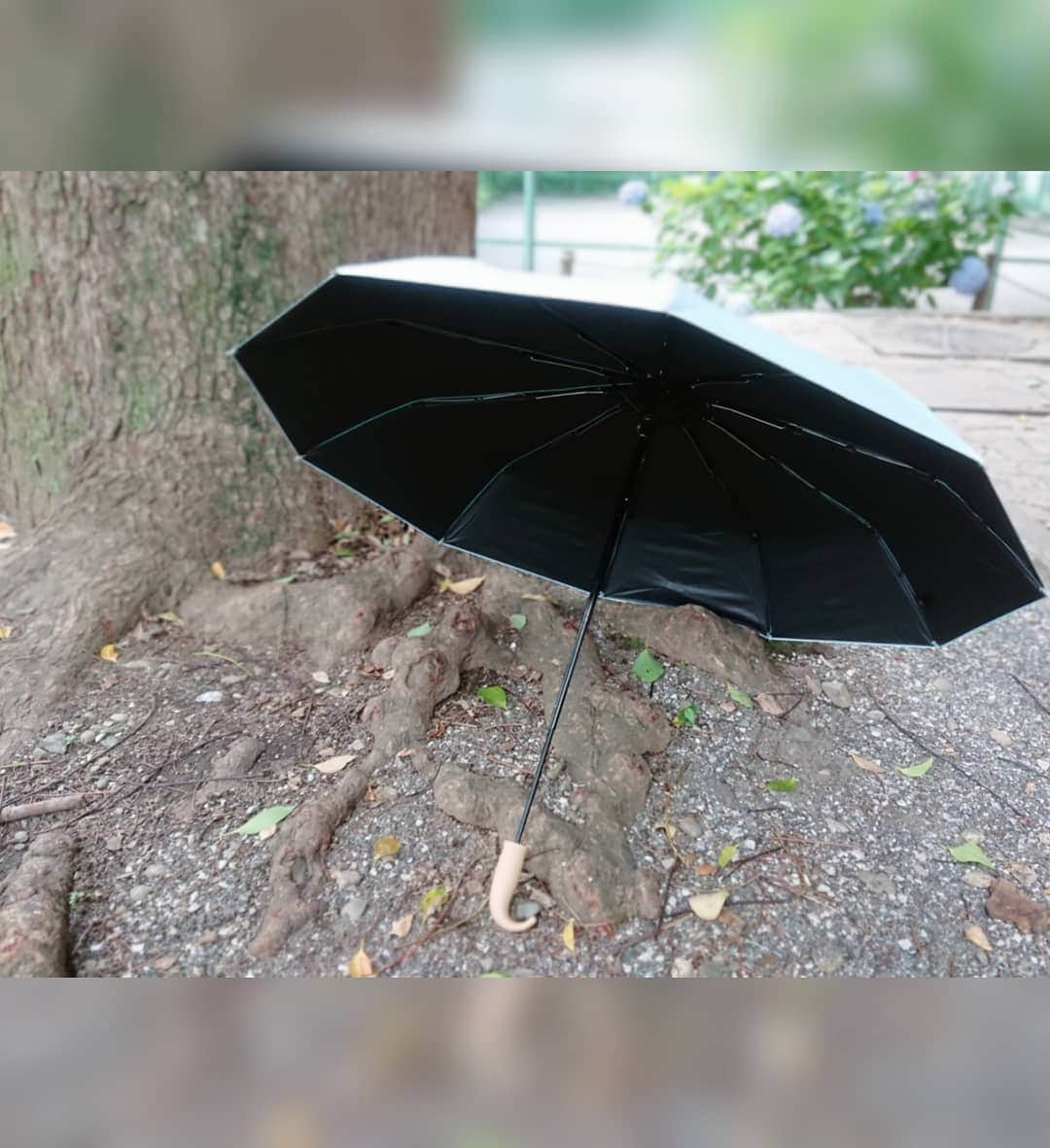松浦麻里奈さんのインスタグラム写真 - (松浦麻里奈Instagram)「日傘ブランド『solshade ソルシェード』🙋💓 ( @taiga_press )  こちら、完全遮光に、UV遮蔽率99.9%の折りたたみ日傘♡♡♡  10本骨だけど、軽量だし晴雨兼用だから 毎日使えるってのもいいー！！  暑さ対策からの、熱中症対策にもなるし 紫外線カットしてくれるから誰でも一本は持っておきたい🙌💕🎶  あたしのはブルーだけど、ピンクと ベージュ もあるよーっっ(๓´˘`๓)♡  ソルシェードの特殊構造の持ち手グリップ にこだわりがあって、とっても持ちやすい！ 長く持ってても疲れないし、ちょっとした場所にも 引っかけられるから便利！！  突然の豪雨にも耐える 『超撥水加工とUVコーティング加工』や 傘を開閉する時に、爪を挟まない安全ストッパーが ついてるのも特徴である😍   #solshade #ソルシェード #折り畳み傘 #日傘 #紫外線対策 #晴雨兼用傘 #pr #雨 #曇り #晴れ #梅雨 #summer #夏 #夏が来る #台風 #豪雨 #雨宿り #雨が好き #雨の日 #雨の日の過ごし方 #blue #ブルー #暑い #暑い日 #日傘女子 #rain #rainbow #fine #ふぁいんだー越しの私の世界 #photograph」7月3日 18時36分 - ay114.831m