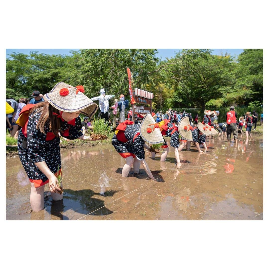 ヨーコさんのインスタグラム写真 - (ヨーコInstagram)「田んぼに入ったのは小学生ぶりかも🌾  苗の成長と秋の実りが今から楽しみ🍚  自分で植えたお米はきっと何倍も美味しいに違いない🍙✨  #新宿調理師専門学校 #新調 #新調PR大使 #ヨーコ #イズミヨーコ #田植え #お田植え #お田植え祭  #さぎ山 #ファームインさぎ山  #riceplanting #paddyfield」7月3日 19時01分 - y0k0_1108